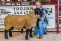 Champion Suffolk_2